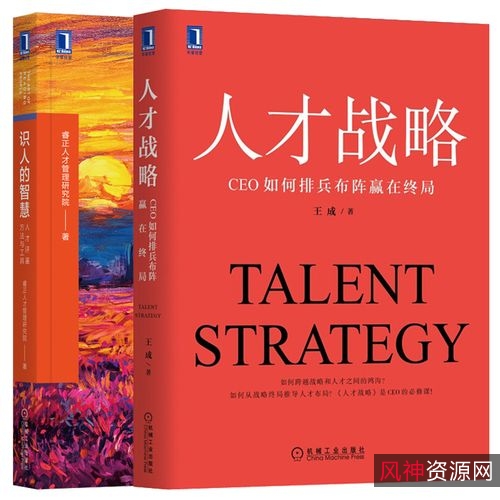 《人才战略：CEO如何排兵布阵赢在终局》
