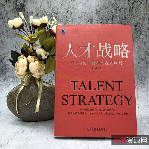《人才战略：CEO如何排兵布阵赢在终局》