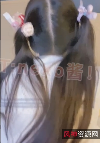 可爱小合集：neko酱的推特图贴&卡哇伊视频，251MB