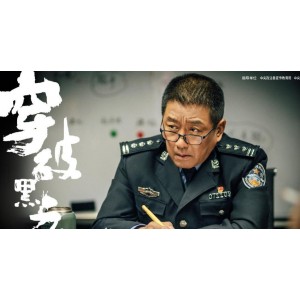 经典反腐扫黑剧系列让你一次看遍经典，耐看型！走过路过不要错过！