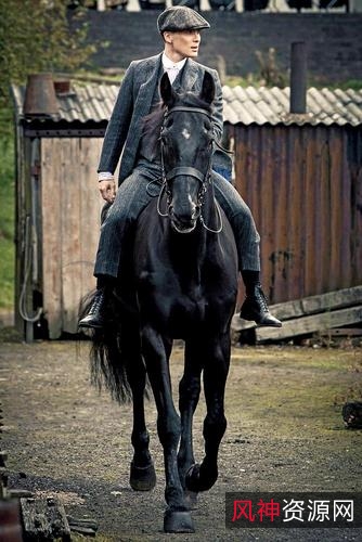 《欧美剧合集:浴血黑帮1-6季,1080P高清视频》