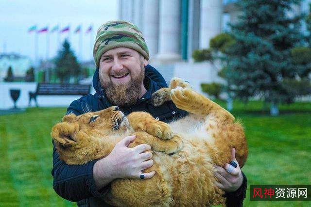 60T合集分享:重温童年经典,一次尽情享受Hongkong经典