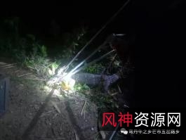 2022年神农架野人战巨蜥:杨家村民的神秘冒险之旅