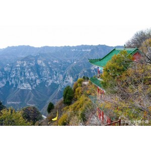 2022年神农架野人战巨蜥：杨家村民的神秘冒险之旅