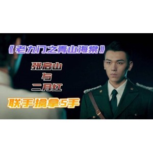 蓝光1080P《老九门》系列电影：青山海棠番外四部MP4下载