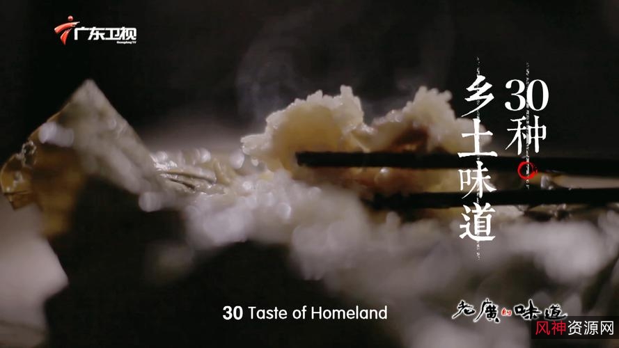 《老广的味道1-5季：多格式资源及倍速播放》