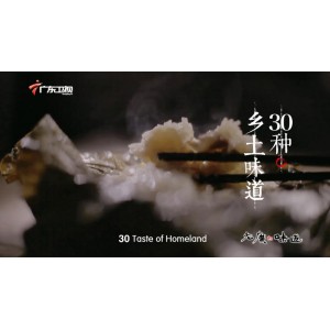《老广的味道1-5季：多格式资源及倍速播放》