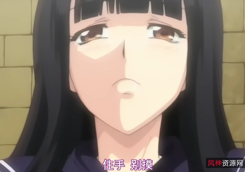 蝴蝶公主懲罰指導：3V+1G无圣光中文版本，百度盘下载