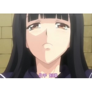 蝴蝶公主懲罰指導：3V+1G无圣光中文版本，百度盘下载