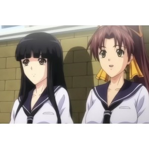 蝴蝶公主懲罰指導：3V+1G无圣光中文版本，百度盘下载