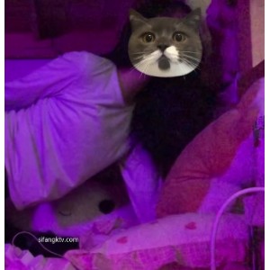 《畸形双女恋：疯狂暴抠激吻、JJ打粑粑、吃瓜自拍顶级守攻》