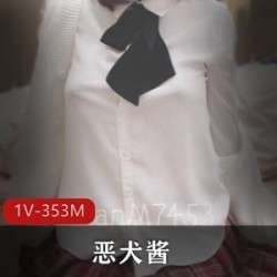 某推Yyds恶犬酱VIP新资源粉嫩内卷1V15P353M拍摄风格完具