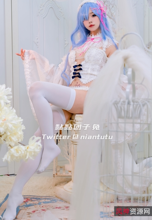 黏黏团子兔雷姆41P+660M[自行打包][B站UP][百度盘]