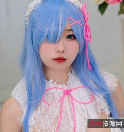 黏黏团子兔雷姆41P+660M[自行打包][B站UP][百度盘]