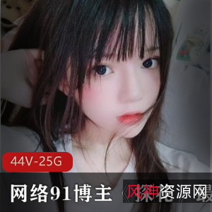 《网络91博主探花系列合集》