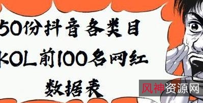 《抖音网红数据表:KOL的秘密揭秘》