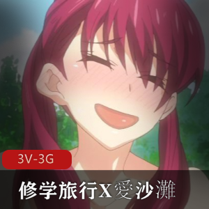 修学旅行：爱沙滩1080AI解码，岛国出品，超火番，女主，男主，口B，多人游，小L莉