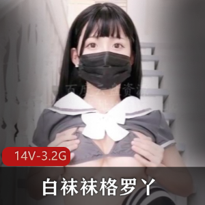 微博网红白袜袜格罗丫大罩杯黑丝视频合集，14个3.2G资源，身材豪R手法玩法无限，快来冲为敬！