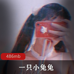 小兔兔：妹子网红妹妹，翘臀身材，视频大小486MB