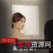 麻豆合集4-精彩视频作品，3V-2.8G