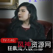 狂飙大人版三部3V2.8G