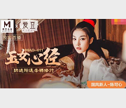 《绣春刀·古装剧情系列：{{网红名字}}饰演的聪明勇敢的公主》