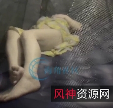 赏这份珍贵的合集，感受其中蕴含的魅力与精彩！