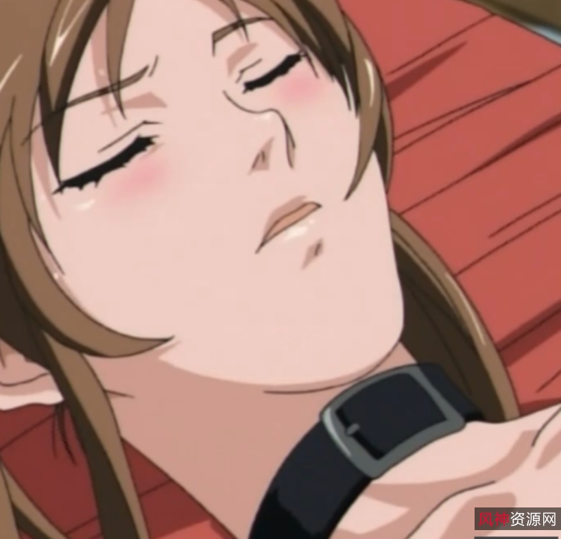 高清无圣光黑暗圣经全集19V，百度盘收藏，性感经典必备