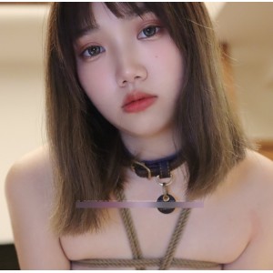 Lunana视角惊艳合集，109P+15V+145M，百度盘下载