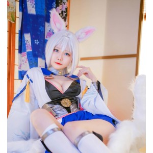 Arty亚缇cos作品59套7g：收藏148，百度ED2K