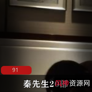 91秦先生优质女神合集20部20G，白富美女神与酒吧网红精彩互动