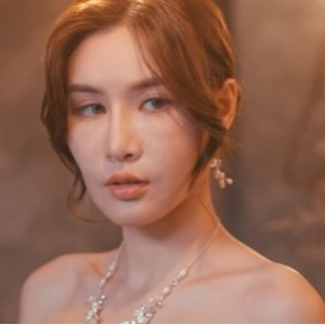 珍藏苏畅大罩杯视频合集54部24.5G