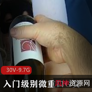 P站MsFine入门微口味重G交洋马合集30部9.7G玩家级