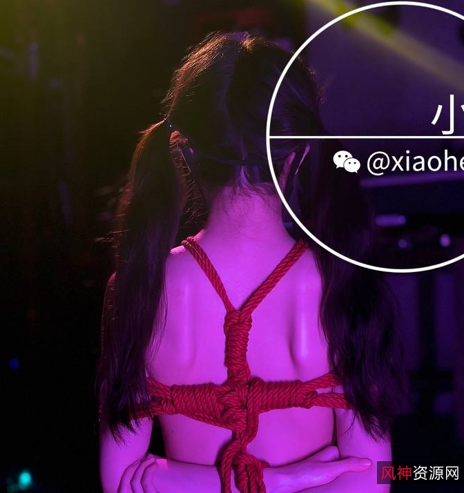 小黑屋顶级指教推特合集8.2G新年福利太顶了