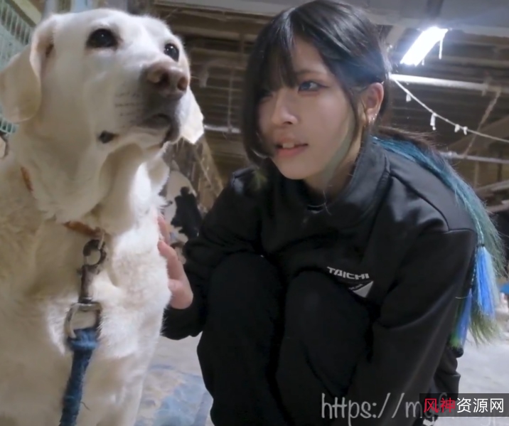 梦依myfans订阅优质合集74V77.78G团建大放送